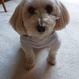 いつきとゆうき