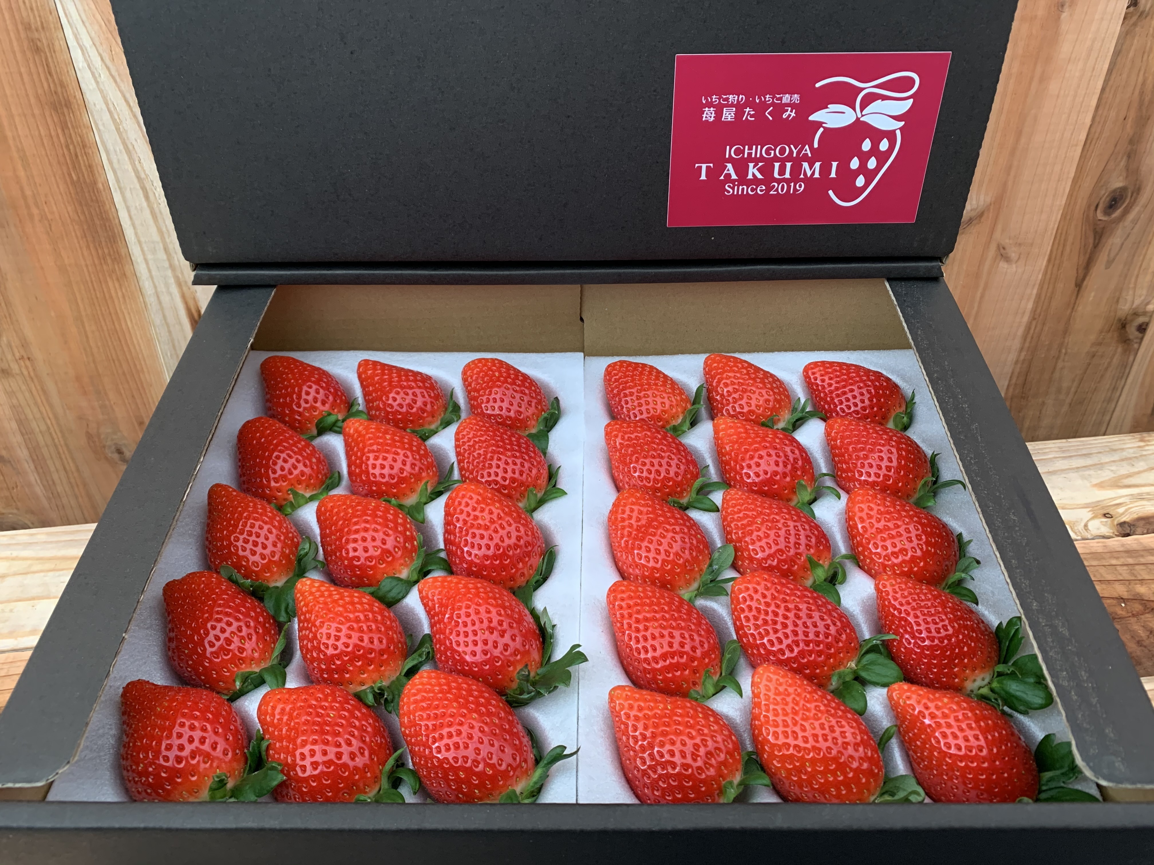 群馬県前橋市｜苺屋たくみ｜森田 匠さんの生産者プロフィール