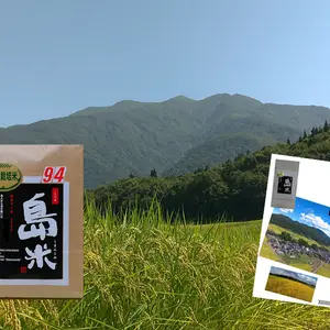 新米R4年産 特別栽培米 幻のコシヒカリ最上流の上級米5k白米 