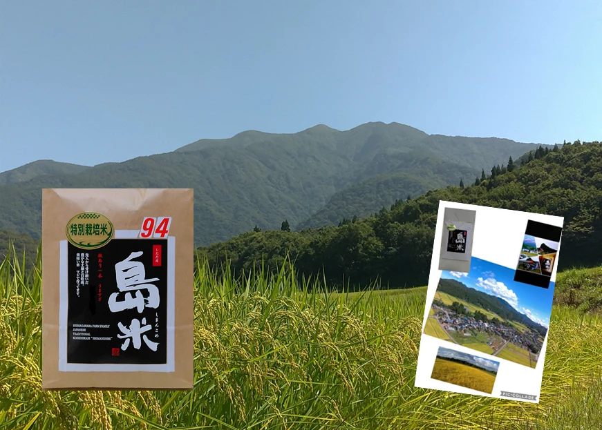 R3産 特別栽培米 幻のコシヒカリ最上流の上級米5k白米 