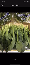 冬のほうれん草は甘くて美味しい‼️