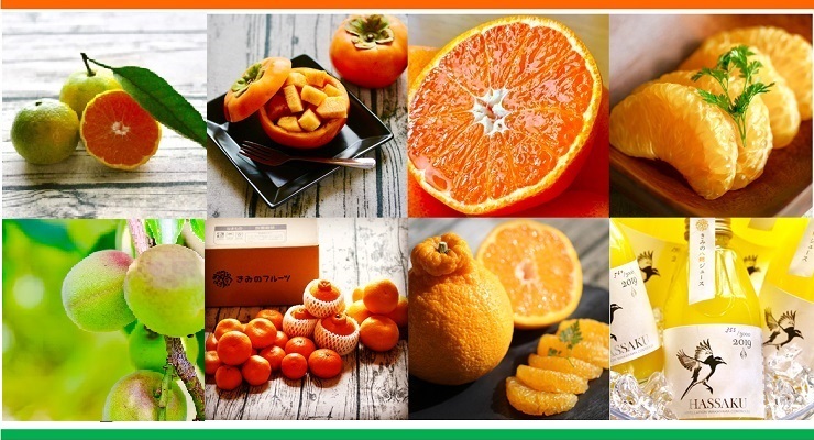 和歌山県紀北エリアの生産者の商品の産直通販・お取り寄せ商品