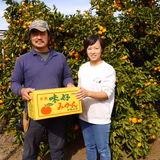 橋詰聖子 | 橋詰農園