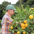 白樫悠基