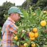 白樫悠基