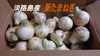 地元でも美味しいと好評！！淡路島の新たまねぎ！