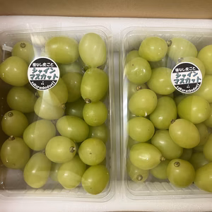 シャインマスカット　南アルプス市産　ご家庭用粒売りパック詰め1kg〜