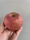 サンふじ‼️蜜入りりんご‼️　訳あり5キロ