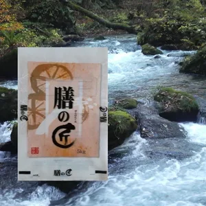 ※「数量限定」SPブレンド精米　