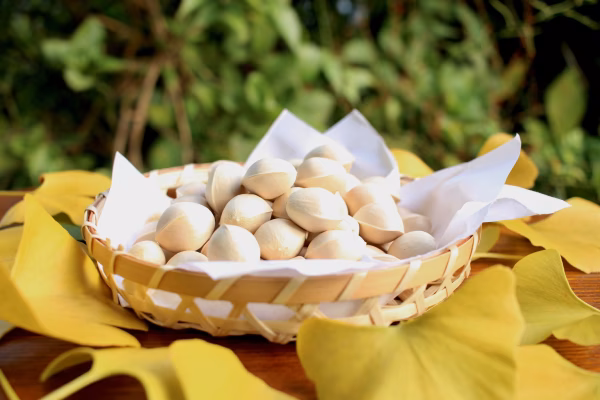 おつまみ上級Lサイズ　もっちり大粒銀杏”久寿✨”　700g