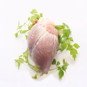 タバジビエ　鹿肉★ハツ（心臓）★希少部位