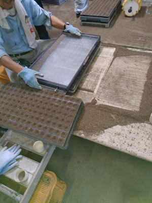 みんなの投稿の画像