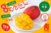 ぷすぷすマンゴー1キロ（2～3玉）