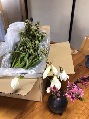 みんなの投稿の画像