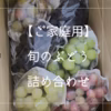 【ご家庭用】旬のぶどう詰め合わせセット（品種おまかせ）
