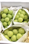 【信州産】 シャインマスカット  〜より深い味わいが魅力のシャインマスカット〜