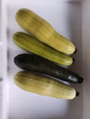 なべくら高原産ズッキーニ詰め合わせセット