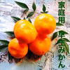 愛媛みかん 家庭用4キロ大小混　