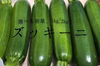  ズッキーニ リピーター多数♪ 愛情いっぱい　保存袋付き 