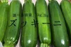  送料一律!! ズッキーニ リピーター多数♪ 愛情いっぱい　保存袋付き 