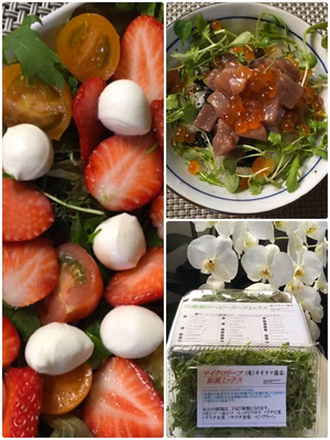 みんなの投稿の画像