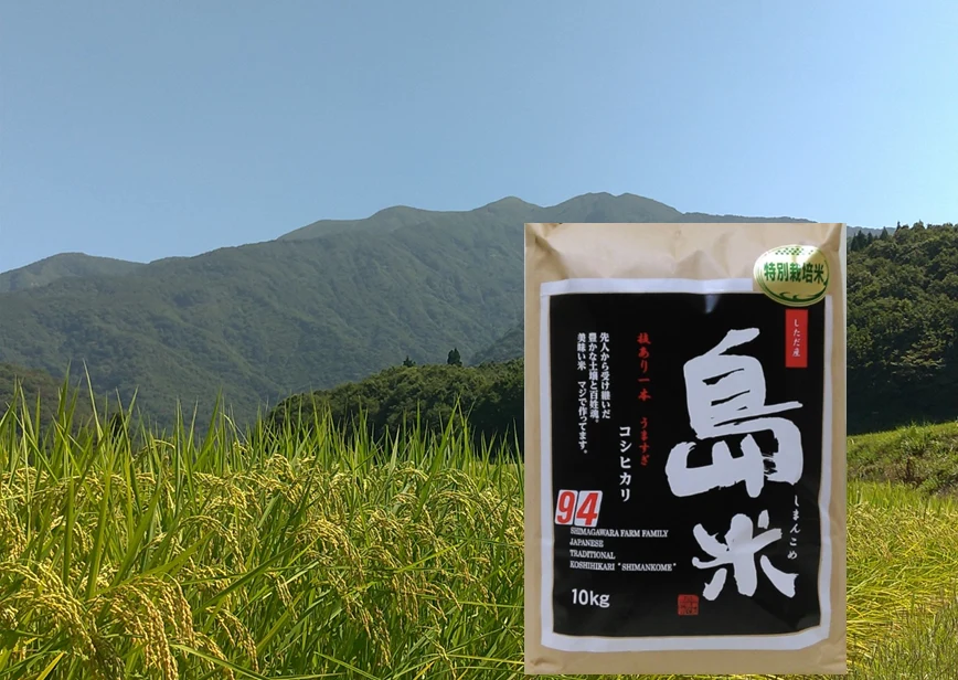 新米R4年産 特別栽培米 幻のコシヒカリ最上流の上級米 20k白米