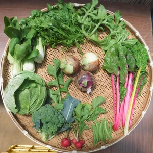 【季節限定】玉ねぎ入り野菜ボックス Mサイズ