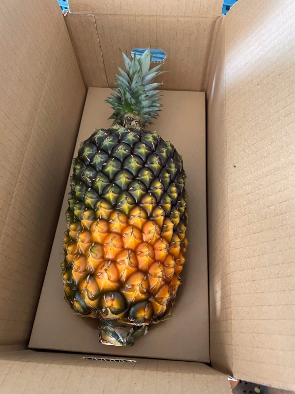 ゴールドバレルパイン　甘く濃厚な希少パイン