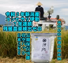 令和３年新潟産もみ貯蔵コシ伊助７年連続残留農薬検出ゼロ 真空パック白米2Kg