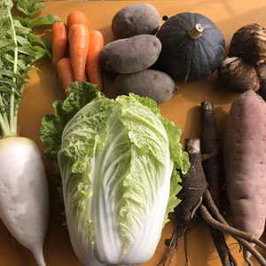 季節の野菜セット【月2回定期、常温便】
