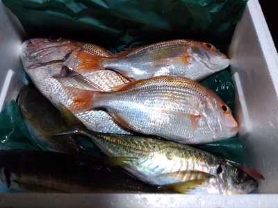 みんなの投稿の画像