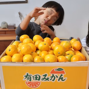 ゆら早生みかん