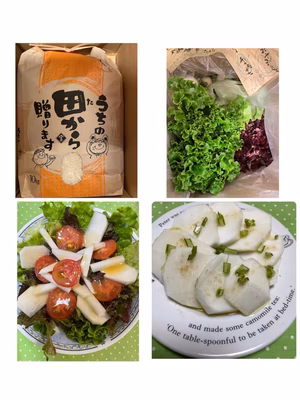 みんなの投稿の画像