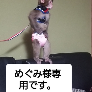 めぐみ様専用です❗