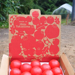 秋の大玉トマト『小さな麗月』13玉入り