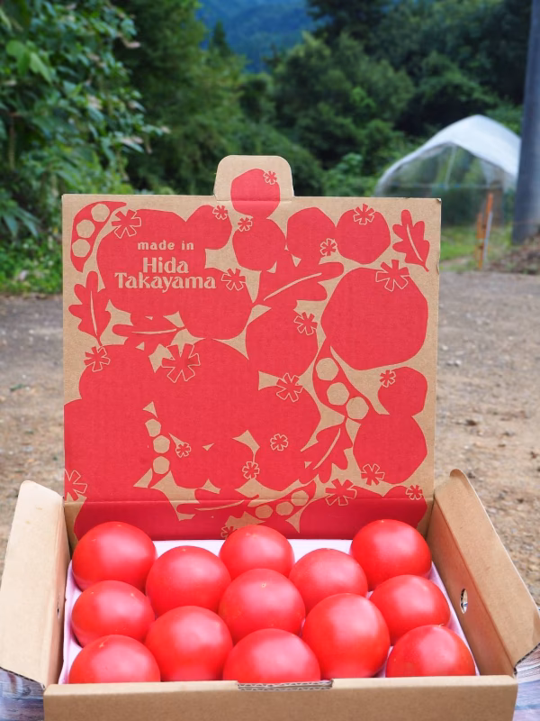 秋の大玉トマト『小さな麗月』13玉入り