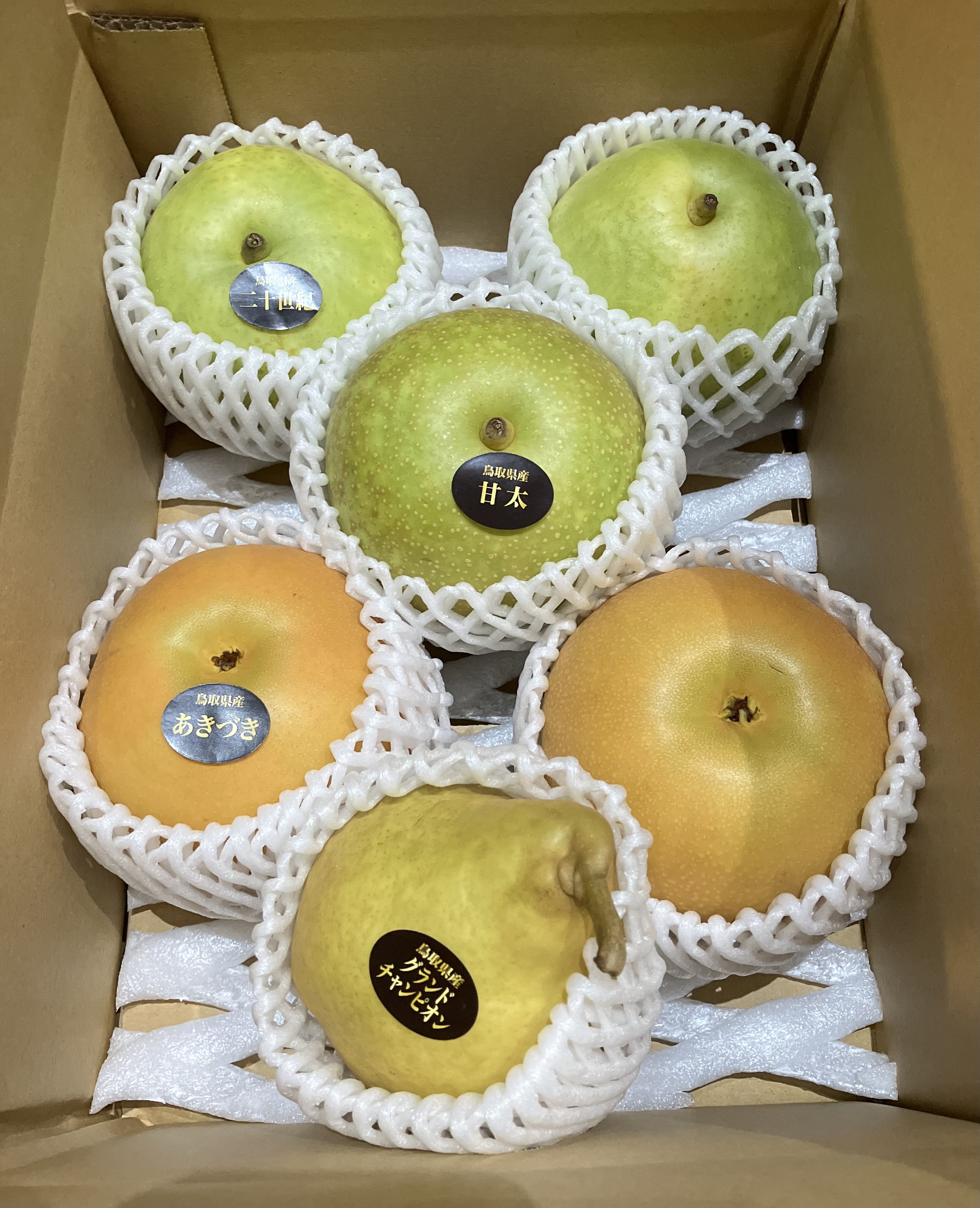 [鳥取県産]和梨・洋梨食べ比べセット 約3kg(5〜6玉)