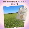 Pino farm「別格コシヒカリ」～R7年産特別栽培米  コシヒカリ～