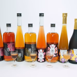 ＜梅酒セット＞紀州の梅酒2本セット