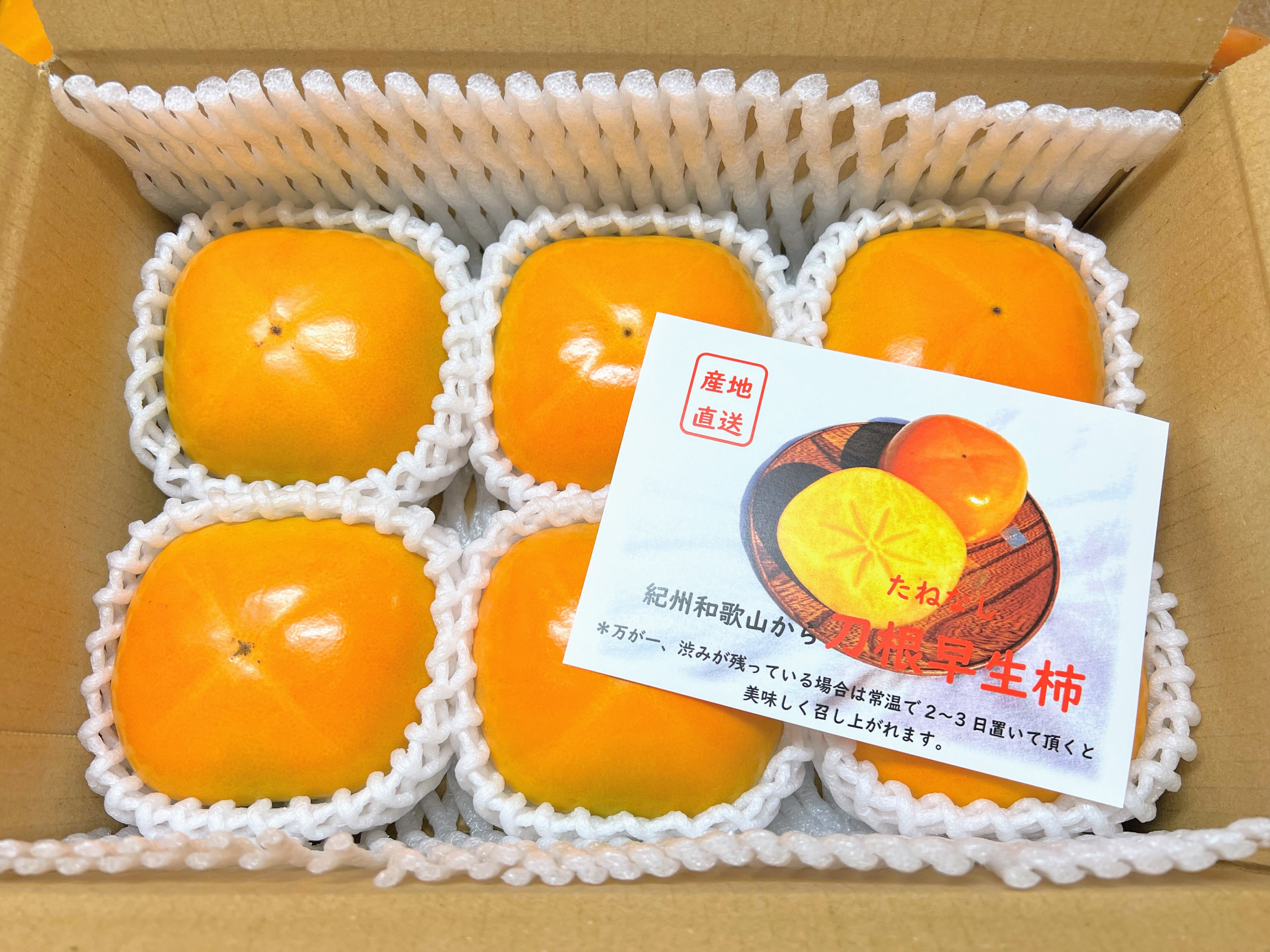 15感謝☆柿祭♪和歌山県産たねなし柿(刀根早生)5kg箱