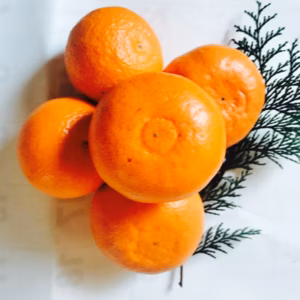 'せとか" 家庭用　箱込4キロ　〜酸味と甘み溢れる春柑橘〜no1