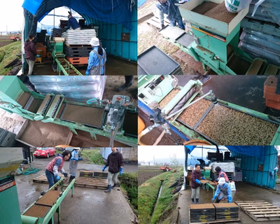 みんなの投稿の画像