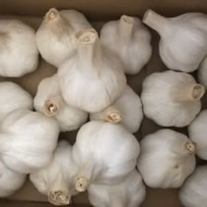 食欲の秋！　ガツンとくるにんにく　おまけ付き