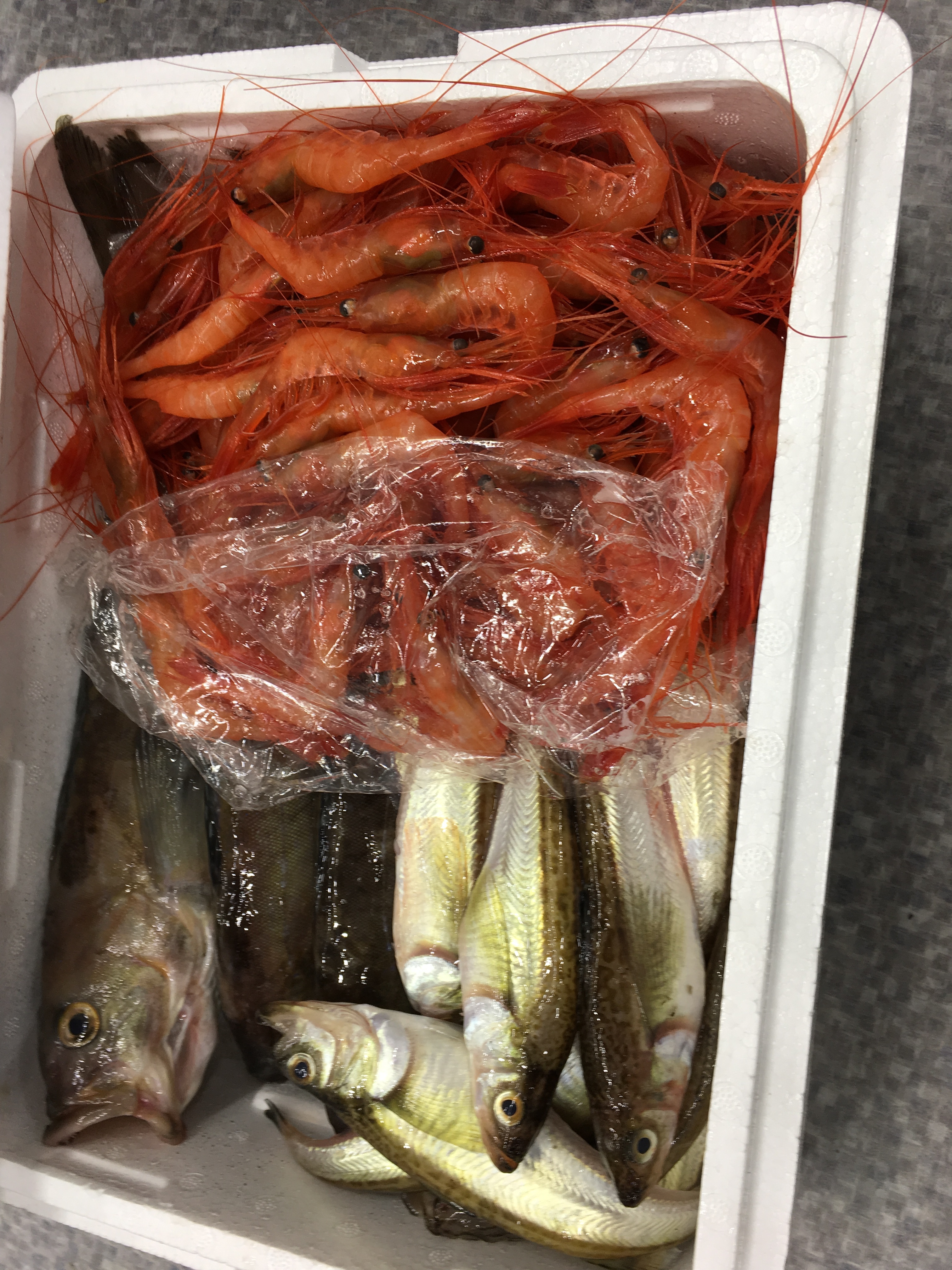 トックにお任せ仕送りセット 中サイズ 農家漁師から産地直送の通販 ポケットマルシェ