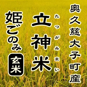 【特別栽培米】立神米姫ごのみ【新米・玄米】