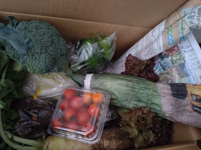 みんなの投稿の画像