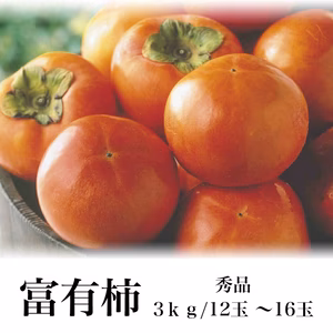 旬の富有柿　個包装　約3kg【熨斗対応】(12～18玉）