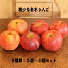 稀少！老木りんご6個セット