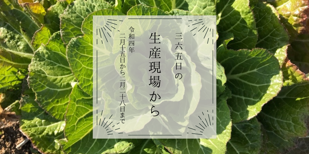 2月15〜28日の生産現場から、啓蟄の32投稿! | 農家漁師から産地直送の通販 ポケットマルシェ 2月15〜28日の生産現場から、啓蟄の32投稿! | 農家漁師から産地直送の通販 ポケットマルシェ