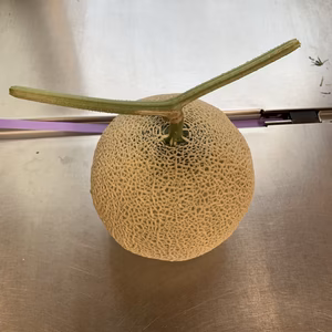 アールスメロン　甘くて、おすすめな温室メロン